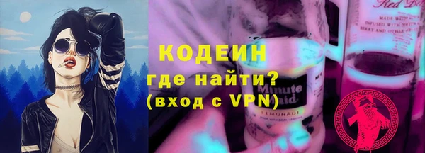 ПСИЛОЦИБИНОВЫЕ ГРИБЫ Богданович