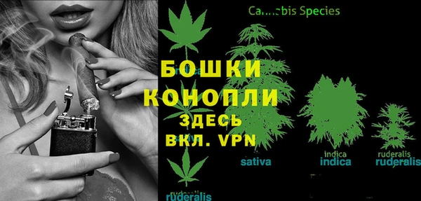 ПСИЛОЦИБИНОВЫЕ ГРИБЫ Богданович