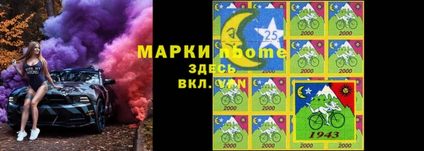 ПСИЛОЦИБИНОВЫЕ ГРИБЫ Богданович